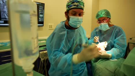 Dentist-with-assistant-performs-dental-implant-placement-to-patient,-blurred-serum-bag-in-foreground