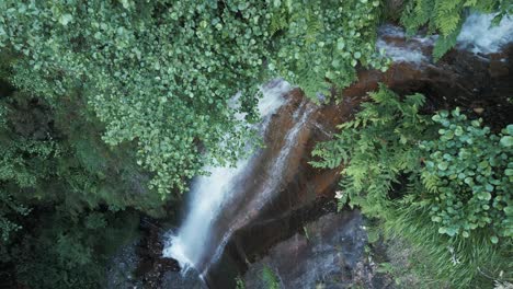 Der-Fluss-Covo-Fließt-Durch-Den-Rexio-Wasserfall-Im-üppigen-Grünen-Wald-In-Lugo,-Spanien