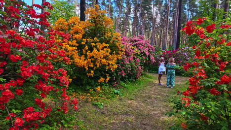 Las-Mujeres-Disfrutan-De-La-Vista-De-Los-Arbustos-Florecientes-En-Diferentes-Colores,-Vista-Frontal-De-Dolly