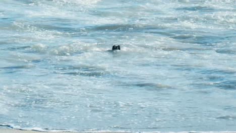 Close-up-of-broken-poles-in-the-ocean-as-waves-of-the-incoming-tide-rush-over-them