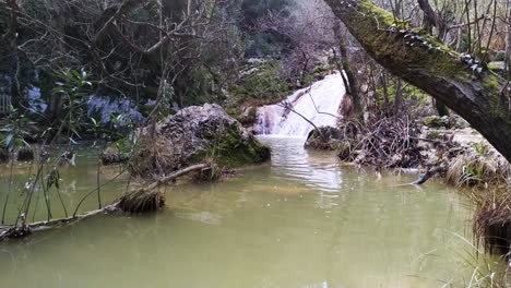 Schöner-Waldwasserfall-Und-Grüner-Schlammiger-See-Im-Tiefen-Wald,-Versteckt-Zwischen-Bäumen