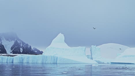 Slow-Motion-Shot-of-Birds-Flying-in-Antarctica-Landscape,-Seabirds-in-Flight-Flying-Past-Icebergs-in-Winter-Scenery-with-Amazing-Beautiful-Dramatic-Ice-Covered-and-Snowy-Snow-Covered-Scene