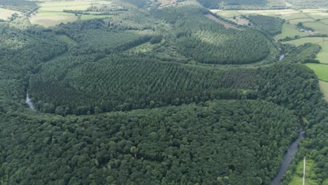 Aerial-orbital-view-of-the-Tamar-river-navigating-around-a-point-bar-and-cutoff,-surrounded-by-dense-woodland-in-Devon-and-Cornwall