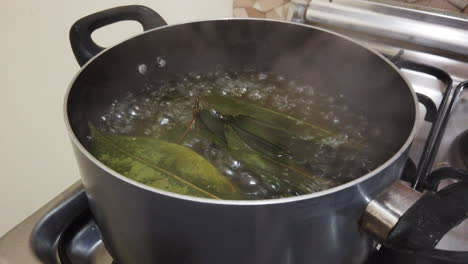 Footage-of-a-boiling-water-with-green-leaves-into-a-pot-on-the-stove