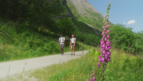 Pareja-Haciendo-Una-Caminata-Por-El-Lago-Bondhusvatnet-Con-Una-Flor-Silvestre-Rosa-En-Primer-Plano