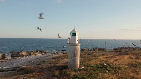 Faro-En-Una-Isla-Con-Cientos-De-Gaviotas-Alzando-El-Vuelo