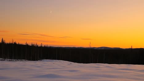 Pan-over-winter-landscape-in-Västerbotten,-Sweden