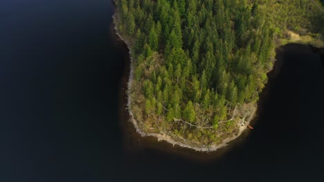 Aerial-top-down-pan-shot-of-green-pine-forest-around-Scottish-loch-wooded-shoreline-in-Scottish-Highlands