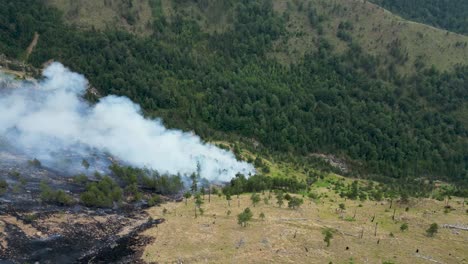 Große-Rauchwolke-Aus-Dem-Wald,-Der-Durch-Waldbrände-Verbrannt-Wird