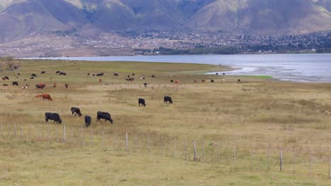 Tafí-del-Valle,-province-of-Tucumán,-Argentina