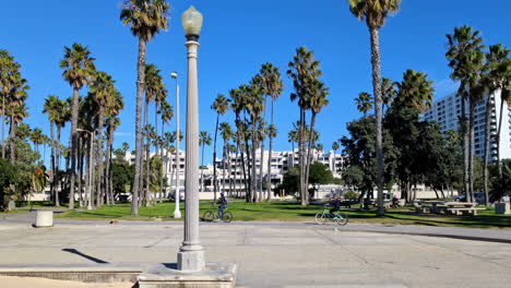 Farola-Tranquila-Vista-De-La-Playa-De-Venecia-Con-Un-Sendero-Bordeado-De-Palmeras-Y-Gente-En-Bicicleta