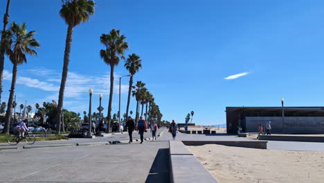 Sunny-walkway-lined-with-palm-trees,-people-walking,-blue-sky,-and-Venice-beach-in-the-distance