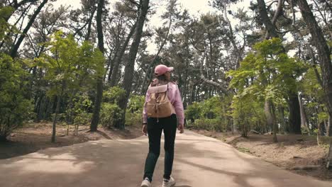 Una-Niña-Caminando-Tranquilamente-Por-Un-Sendero-Bordeado-De-Flores-Vibrantes-Y-A-Través-De-Un-Bosque-Exuberante,-Que-Resume-La-Esencia-De-Un-Retiro-Tranquilo-En-La-Naturaleza