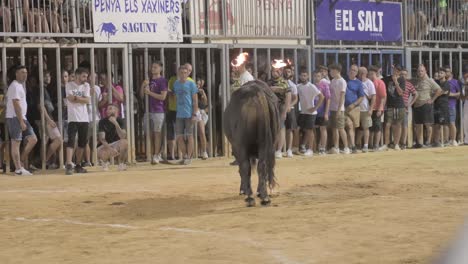 Stier-Mit-Feuerbällen-In-Seinen-Hörnern-Gräbt-In-Der-Arena-Einer-Stierkampfarena-Mit-Zuschauern-Bei-Einem-Toro-Embolado-Event-In-Sagunto