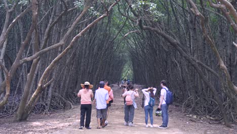 Entrance-to-deep-Mangrove-forest,-tourist-group-gathers,-nature-journey