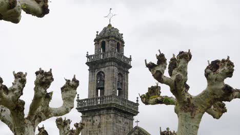 Bell-tower-of-the-Church-Santa-María-de-Beade-in-Beade,-Ourense,-Galicia,-Spain,-framed-by-pruned-trees