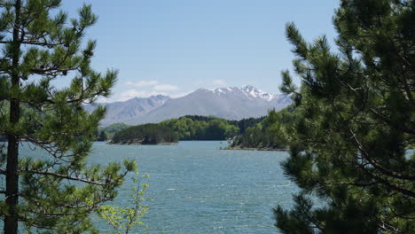 Tranquilo-Lago-De-Montaña-En-Primavera-árboles-Moviéndose-Desde-El-Viento-Cámara-Lenta-Montañas-Cubiertas-De-Nieve-Fondo-Día-Soleado