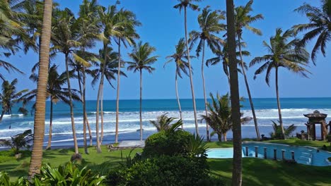 Coastal-island-vacation-tropical-destination,-vegetation,-palm-trees