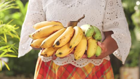 Frau-Hält-Bündel-Bananen-Mit-Beiden-Händen---Nahaufnahme