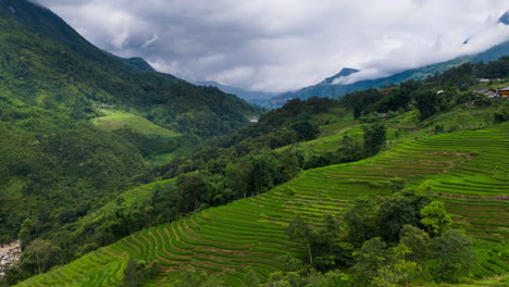 Reisterrassen-Konturieren-Landschaftlich-Gestaltete-Täler,-Sapa,-Nordvietnam