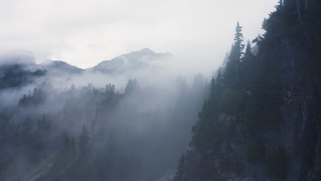 Cliff-with-trees-growing-up-along-escarpment-deep-in-mist-fog-or-clouds,-PNW