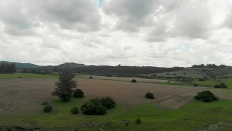 Amplios-Campos-En-Uruguay-Con-Exuberante-Vegetación-Y-Paisajes-Abiertos.