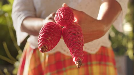 Woman's-Hands-Holding-Shampoo-Ginger-Plant---Close-Up