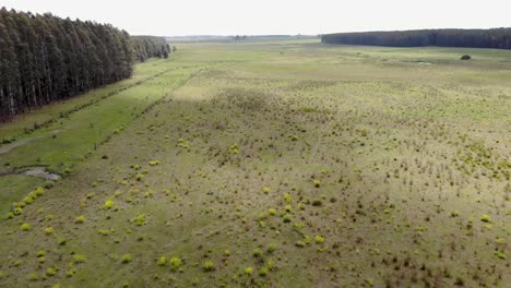 Un-Campo-Escénico-Con-Nubes-Proyectando-Sombras-En-Movimiento-Sobre-El-Paisaje