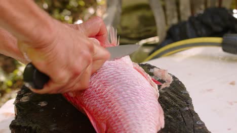 Man-Cutting-A-Red-Snapper-Fish---Close-Up