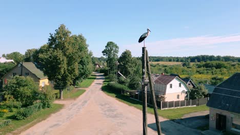 Drone-footage-orbits-around-a-stork-standing-on-an-electricity-pole-in-a-picturesque-Baltic-countryside-landscape