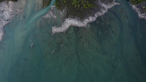 Der-Verzweigte-Fluss-Fließt-Zwischen-Weißen-Sandablagerungen-Und-Angeschwemmten-Bäumen,-Die-Am-Waldrand-Abgebrochen-Sind,-Von-Oben-Nach-Unten