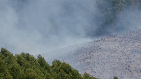 Fire-Smoke-Above-Savanna