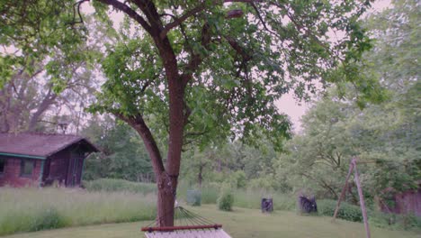 Hammock-on-plum-tree,-wide-angle-shot