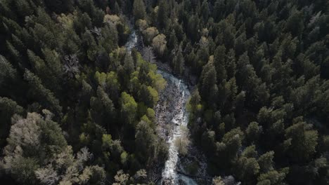 Disparo-Hacia-Adelante-Siguiendo-El-Río-En-Little-Cottonwood-Canyon,-Utah