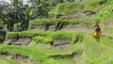 Mujer-Vestida-De-Amarillo-Caminando-Por-La-Terraza-De-Arroz-De-Tegalalang-En-Bali,-Indonesia