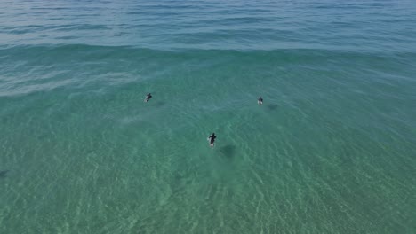 4k-drone-of-3-unknown-surfers-paddling-out-into-the-ocean,-Gold-Coast-Australia