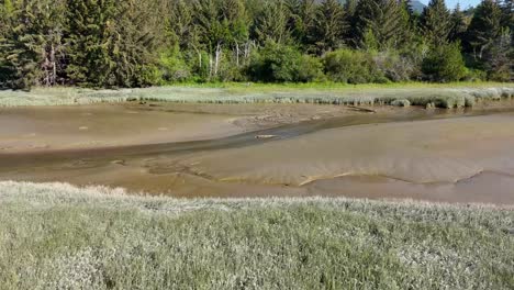 Squamish-river-estuary-during-low-tide-in-South-British-Columbia,-Canada