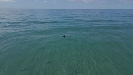 4k-drone-of-lone-surfer-sitting-out-in-the-blue-green-waters-off-Gold-Coast-beach-in-Australia