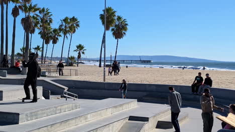 Skateboarder