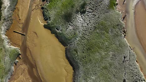 Bird-eye-view-of-an-estuary-during-low-tide-in-the-South-British-Columbia,-Canada