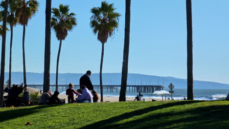 Family-hangs-out-sitting-down-on-grassy-hill-below-palm-trees-at-Venice-Beach-watching-the-surf-roll-in