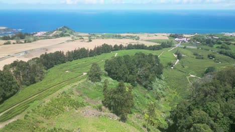 Weite-Luftaufnahme-Der-Grünen-Teeplantage-Cha-Gorreana-Am-Meer-Auf-Den-Azoren