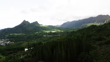 Vista-Aérea-Sobre-Las-Copas-De-Los-árboles-En-El-Valle-Interior-De-Nu&#39;uanu-En-Hawaii