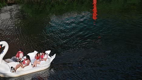 Pedalling-a-swan-on-Three-Mills-Wall-River-Weir,-London,-United-Kingdom