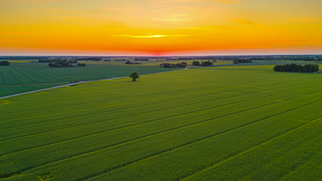 Aerial-Timelapse-of-the-evening-sun-dissapearing-behind-the-horizon-and-rural-fields