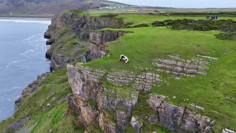 Rhythmic-whisper-of-the-ocean-sings-lullabies-to-rugged-cliffs,-aerial