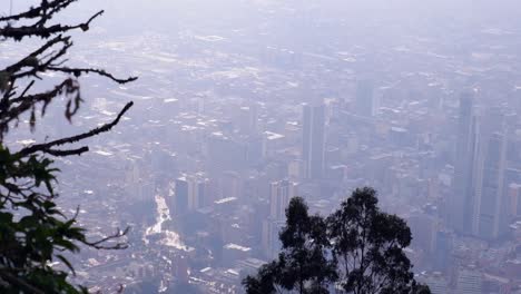 Trees-in-foreground,-Hazy-Bogota-city-skyline-from-mountain-viewpoint