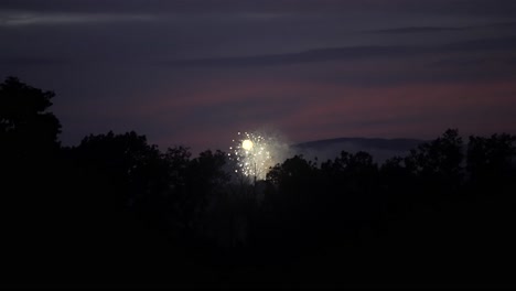 Helles,-Strahlendes-Gelb,-Das-In-Der-Abenddämmerung-Funkelt,-Mit-Waldbaumsilhouette-Davor,-Zeitlupe