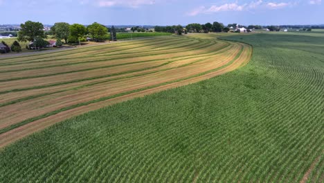 Pattern-on-cultivated-farm-fields-during-summer-day-in-Pennsylvania,-USA