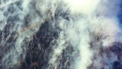 Overhead-drone-shot-over-the-Amazon,-revealing-dense-smoke-clouds-and-devastated-areas-from-the-forest-fire,-showcasing-environmental-destruction-in-Brazil,-South-America